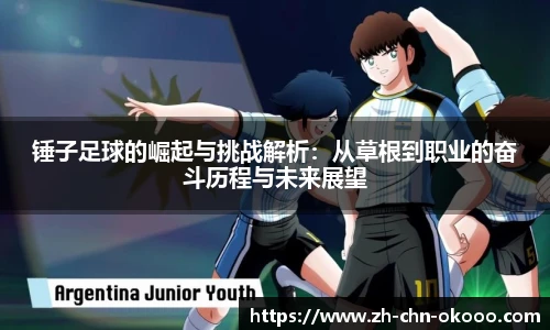 锤子足球的崛起与挑战解析：从草根到职业的奋斗历程与未来展望